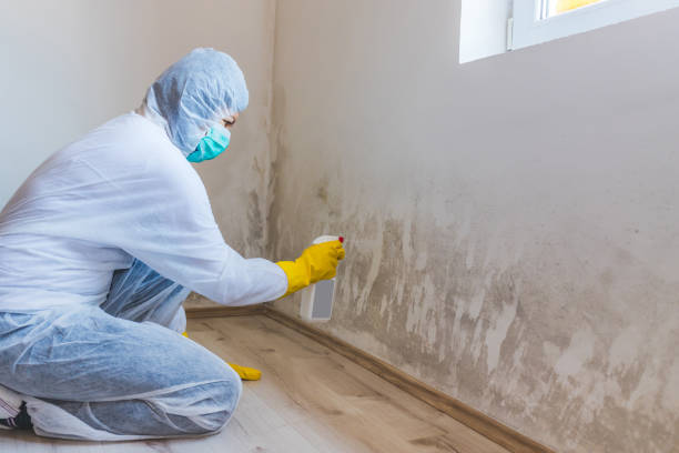 Crawl Space Mold Remediation treatment of floor joists in South Boston